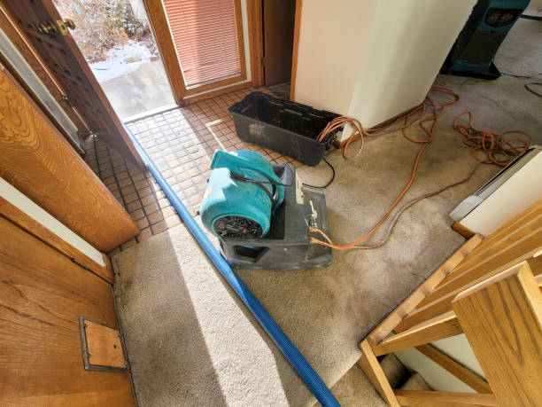 Best 24-hour water damage restoration  in Elmira, NY
