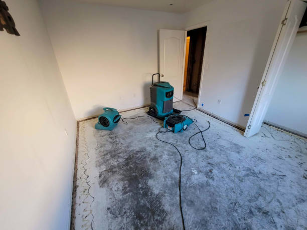 Best Mold removal after water damage  in Elmira, NY