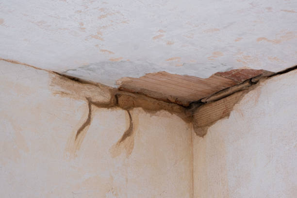 Best Flooded house restoration  in Elmira, NY