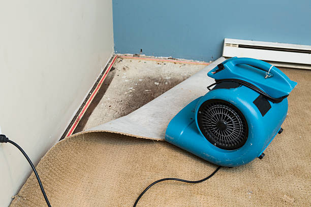Best Water damage repair service  in Elmira, NY